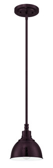Timarron 1 Light Mini Pendant in Aged Bronze Brushed (20|35991-ABZ)
