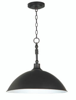 Timarron 1 Light Large Pendant in Aged Bronze Brushed (20|35993-ABZ)