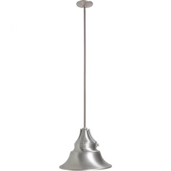 Union 1 Light Large Outdoor Pendant in Satin Aluminum (20|Z4421-SA)