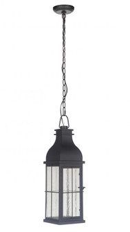 Vincent 1 Light Medium LED Outdoor Pendant in Midnight (20|ZA1811-MN-LED)