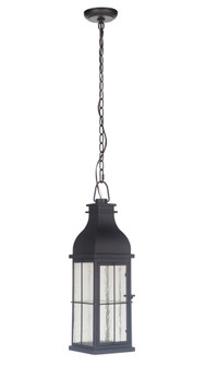 Vincent 1 Light Medium LED Outdoor Pendant in Midnight (20|ZA1811-MN-LED)