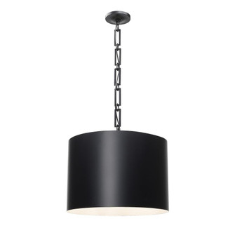 Brian Patrick Flynn Alston 20'' Matte Black + White Pendant (205|8686-MK-WH)