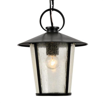 Andover Outdoor 1 Light Matte Black Chandelier (205|AND-9203-SD-MK)