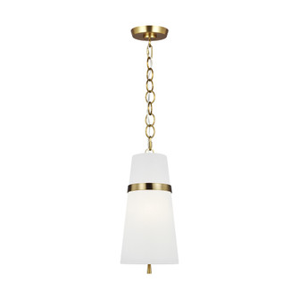 Cordtlandt Small Pendant (7725|AP1161BBS)