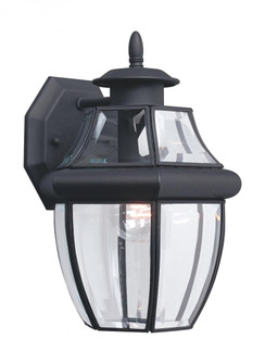 Lancaster One Light Outdoor Wall Lantern (38|8038-12)