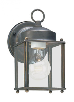New Castle traditional 1-light outdoor exterior wall lantern sconce in antique bronze finish with cl (38|8592-71)