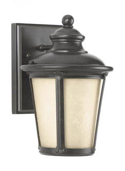 Cape May traditional 1-light outdoor exterior small Dark Sky compliant wall lantern sconce in burled (38|88240D-780)