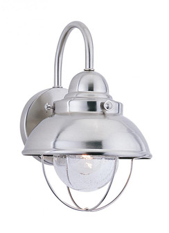 Sebring transitional 1-light outdoor exterior small wall lantern sconce in brushed stainless silver (38|8870-98)