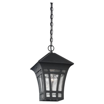 Herrington transitional 1-light outdoor exterior hanging ceiling pendant in black finish with clear (38|60131-12)