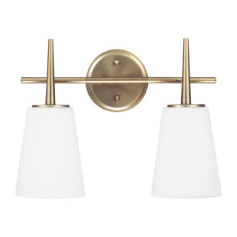 Driscoll contemporary 2-light indoor dimmable bath vanity wall sconce in satin brass gold finish wit (38|4440402-848)