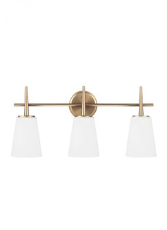 Driscoll contemporary 3-light indoor dimmable bath vanity wall sconce in satin brass gold finish wit (38|4440403-848)
