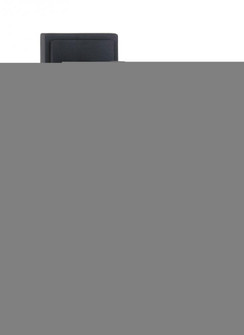 Hunnington contemporary 1-light outdoor exterior medium wall lantern in black finish with etched see (38|89031-12)