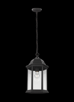Sevier traditional 1-light outdoor exterior ceiling hanging pendant in black finish with clear glass (38|6238701-12)