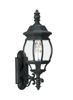 Wynfield traditional 2-light LED outdoor exterior wall lantern sconce in black finish with clear bev (38|88201EN-12)