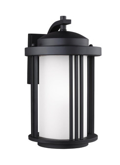 Crowell contemporary 1-light LED outdoor exterior medium wall lantern sconce in black finish with sa (38|8747901DEN3-12)