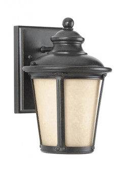 Cape May traditional 1-light LED outdoor exterior small Dark Sky compliant wall lantern sconce in bu (38|88240DEN3-780)
