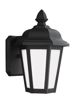 Brentwood traditional 1-light LED outdoor exterior small wall lantern sconce in black finish with sm (38|89822EN3-12)