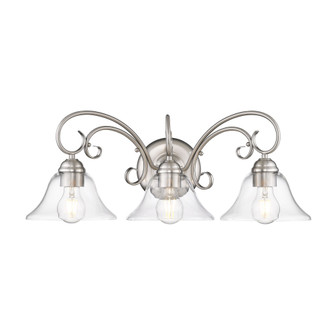 Wry Lighting Homestead 3-light Vanity in Pewter (36|8606-BA3 PW-CLR)