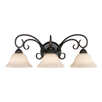 Wry Lighting Homestead 3-light Vanity in Rubbed Bronze (36|8606-BA3 RBZ-TEA)
