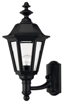 Medium Wall Mount Lantern (87|1419BK)