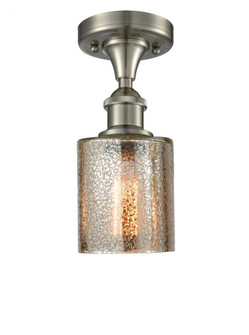 Cobbleskill - 1 Light - 5 inch - Brushed Satin Nickel - Semi-Flush Mount (3442|516-1C-SN-G116-LED)