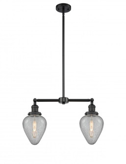 Geneseo - 2 Light - 21 inch - Matte Black - Stem Hung - Adjustable Island Light (3442|209-BK-G165)