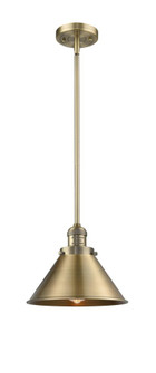 Briarcliff - 1 Light - 10 inch - Brushed Brass - Stem Hung - Mini Pendant (3442|201S-BB-M10-BB)
