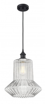 Springwater - 1 Light - 12 inch - Matte Black - Cord hung - Mini Pendant (3442|516-1P-BK-G212)