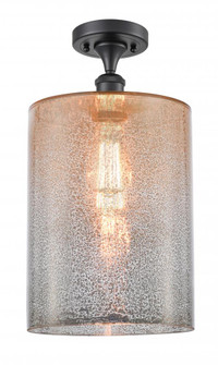 Cobbleskill - 1 Light - 9 inch - Matte Black - Semi-Flush Mount (3442|516-1C-BK-G116-L-LED)