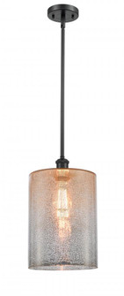 Cobbleskill - 1 Light - 9 inch - Matte Black - Mini Pendant (3442|516-1S-BK-G116-L-LED)