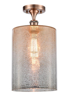 Cobbleskill - 1 Light - 9 inch - Antique Copper - Semi-Flush Mount (3442|516-1C-AC-G116-L)