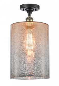Cobbleskill - 1 Light - 9 inch - Black Antique Brass - Semi-Flush Mount (3442|516-1C-BAB-G116-L-LED)