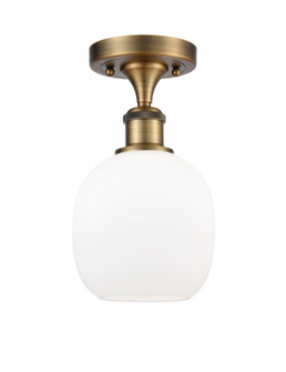 Belfast - 1 Light - 6 inch - Brushed Brass - Semi-Flush Mount (3442|516-1C-BB-G101-LED)