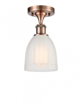 Brookfield - 1 Light - 6 inch - Antique Copper - Semi-Flush Mount (3442|516-1C-AC-G441)