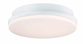 Kute Ceiling Fan Correlated Color Temperature (CCT)Select LED Light Kit - Matte White (90|LK8534MW)