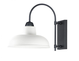 Industrial-Outdoor Wall Mount (19|10118WTBK)