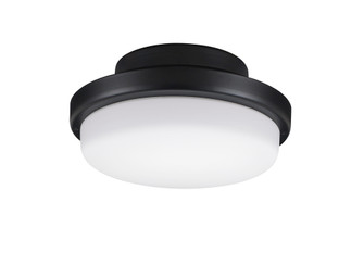 TriAire Custom Ceiling Fan Correlated Color Temperature (CCT) Select LED Light Kit - Black (90|LK8514BLW)