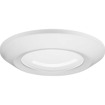 P810012-028-30 FLUSH MOUNT (149|P810012-028-30)