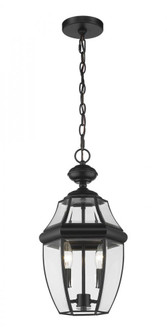 2 Light Outdoor Chain Mount Ceiling Fixture (276|580CHM-BK)
