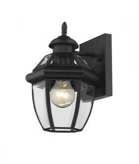 1 Light Outdoor Wall Light (276|580XS-BK)