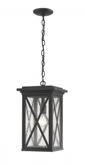 1 Light Outdoor Chain Mount Ceiling Fixture (276|583CHB-BK)