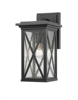 1 Light Outdoor Wall Light (276|583M-BK)