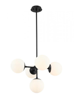 5 Light Pendant (276|730-5MB)