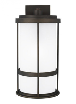 Wilburn modern 1-light outdoor exterior Dark Sky compliant large wall lantern sconce in antique bron (38|8790901D-71)