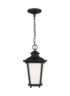 Cape May traditional 1-light outdoor exterior hanging ceiling pendant in black finish with etched wh (38|62240-12)