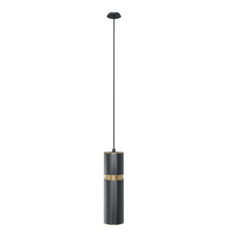 Cicada 10''H LED Pendant in Knurled Dark Grey and Brass (4450|HF1074-DGY)