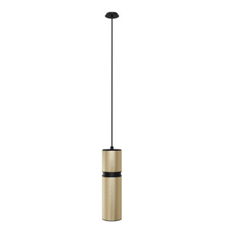 Cicada 10''H LED Pendant in Knurled Brass and Black (4450|HF1075-BBK)