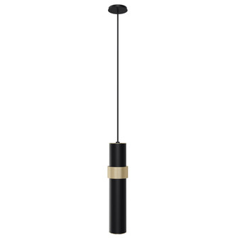 Cicada 10''H LED Pendant in Knurled Brass and Black (4450|HF1079-BKB)