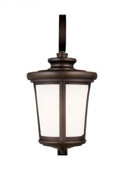 Eddington modern 1-light outdoor exterior large wall lantern sconce in antique bronze finish with ca (38|8719301-71)