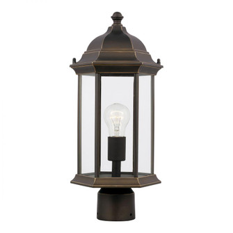 Sevier traditional 1-light outdoor exterior medium post lantern in antique bronze finish with satin (38|8238651-71)